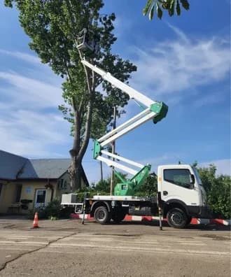 servizi we can do it