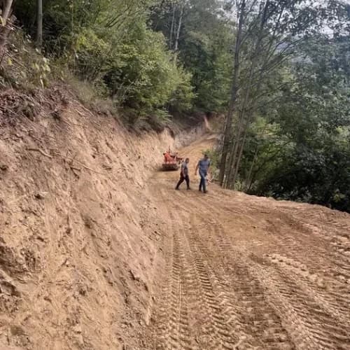 servizi we can do it