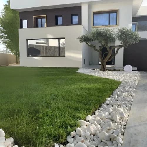 servizi we can do it